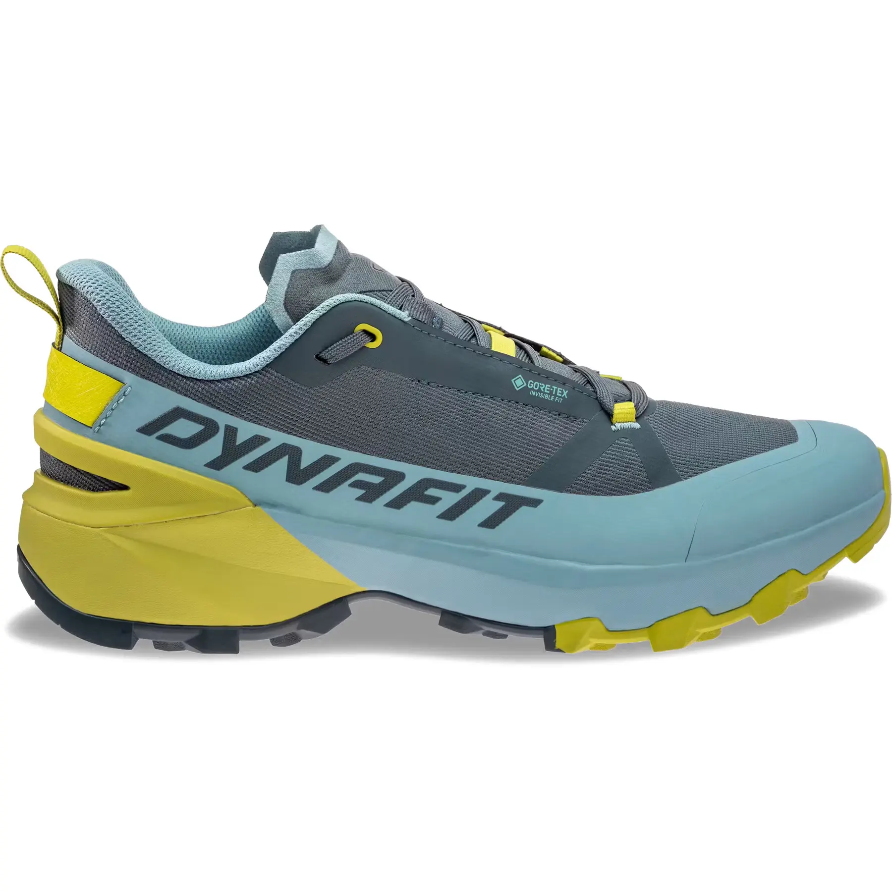 Hiking shoes Dynafit Transalper Gtx