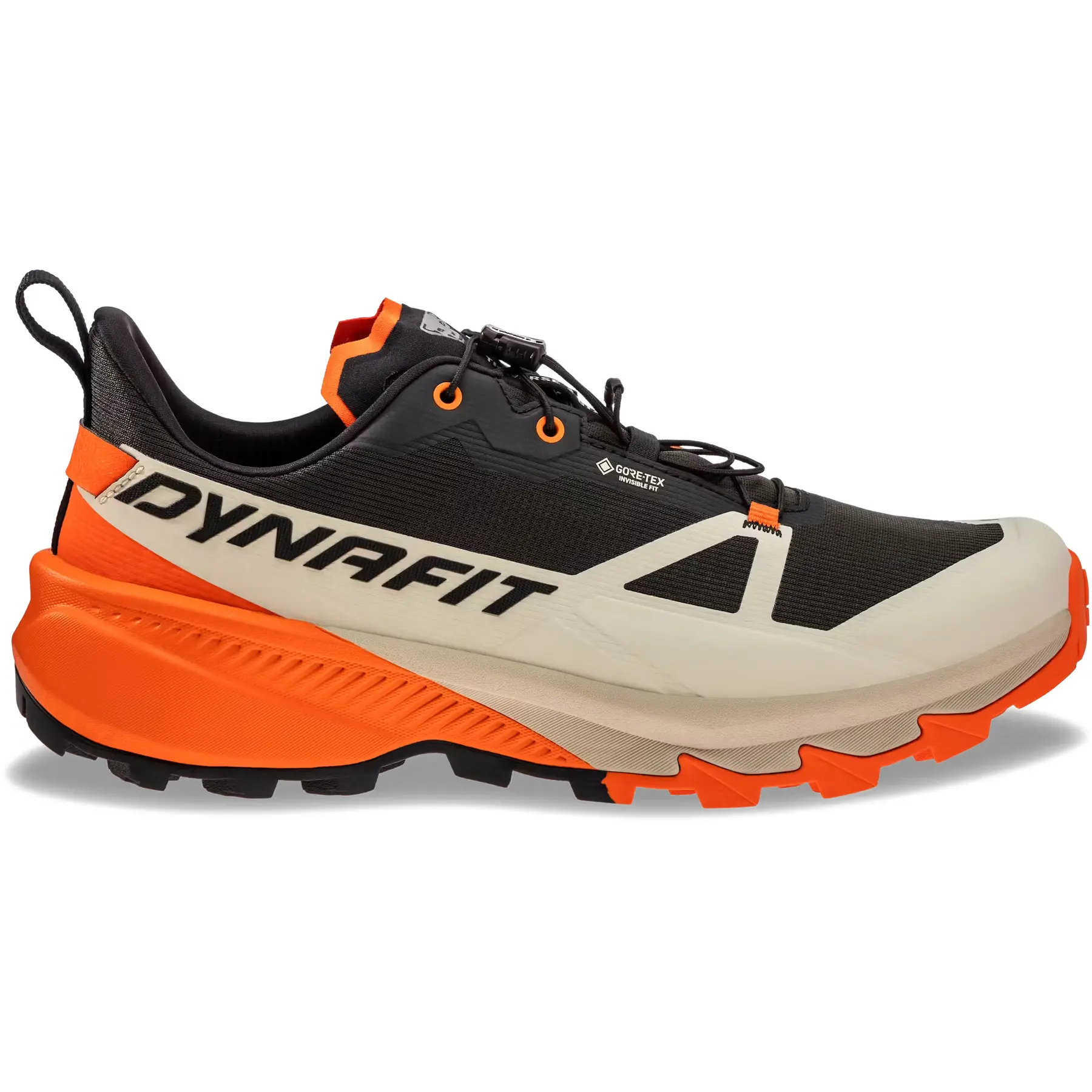 Bergsteigerschuhe Dynafit Traverse 2 Gtx