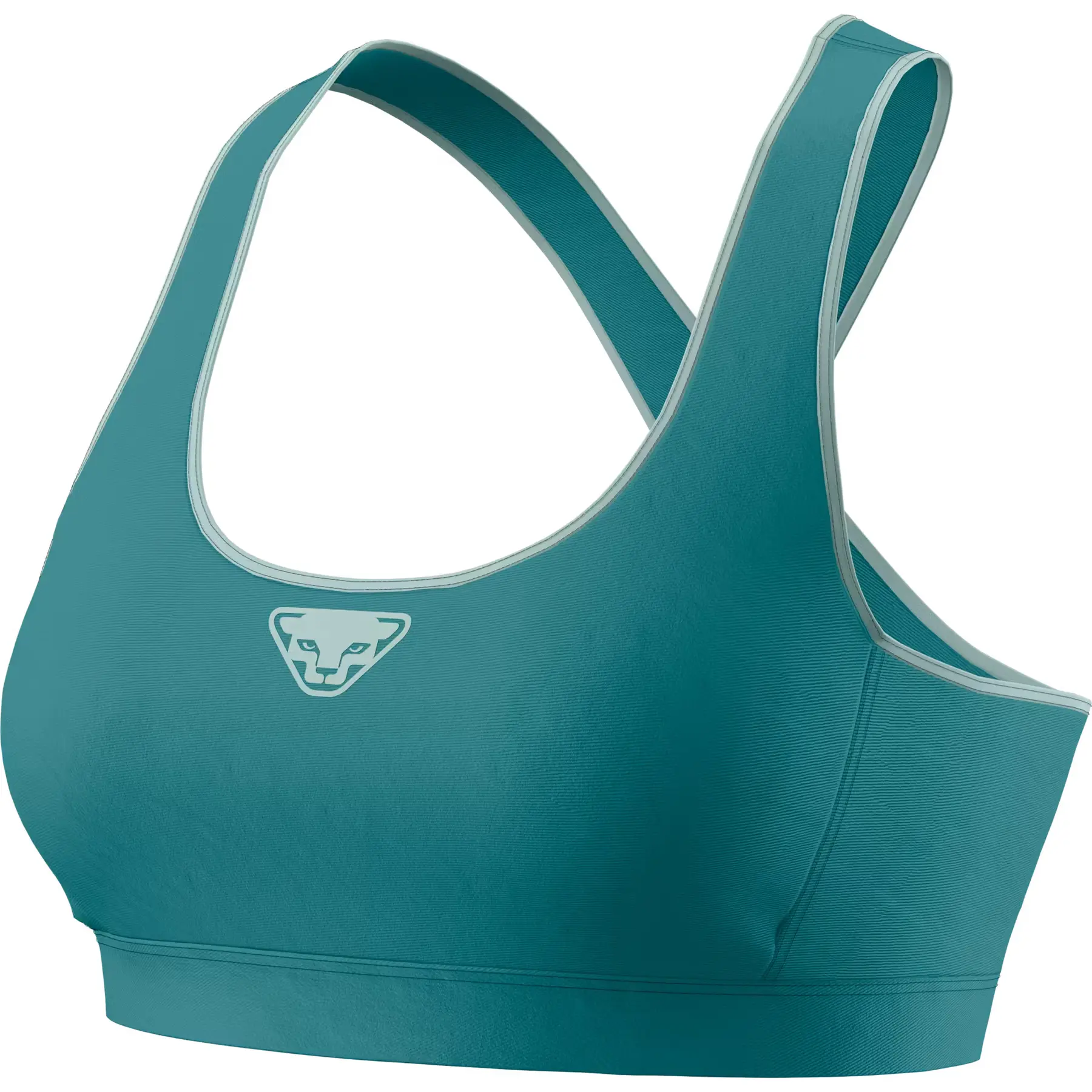 Dynafit Women's Bleu Sports Bra Alpine