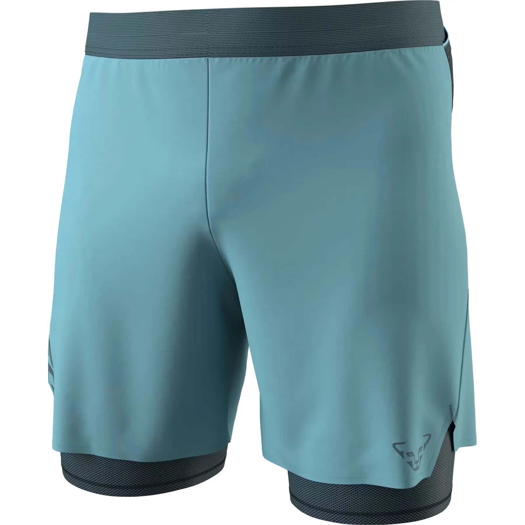 Short Alpine Pro - Bleu - male - Size: L