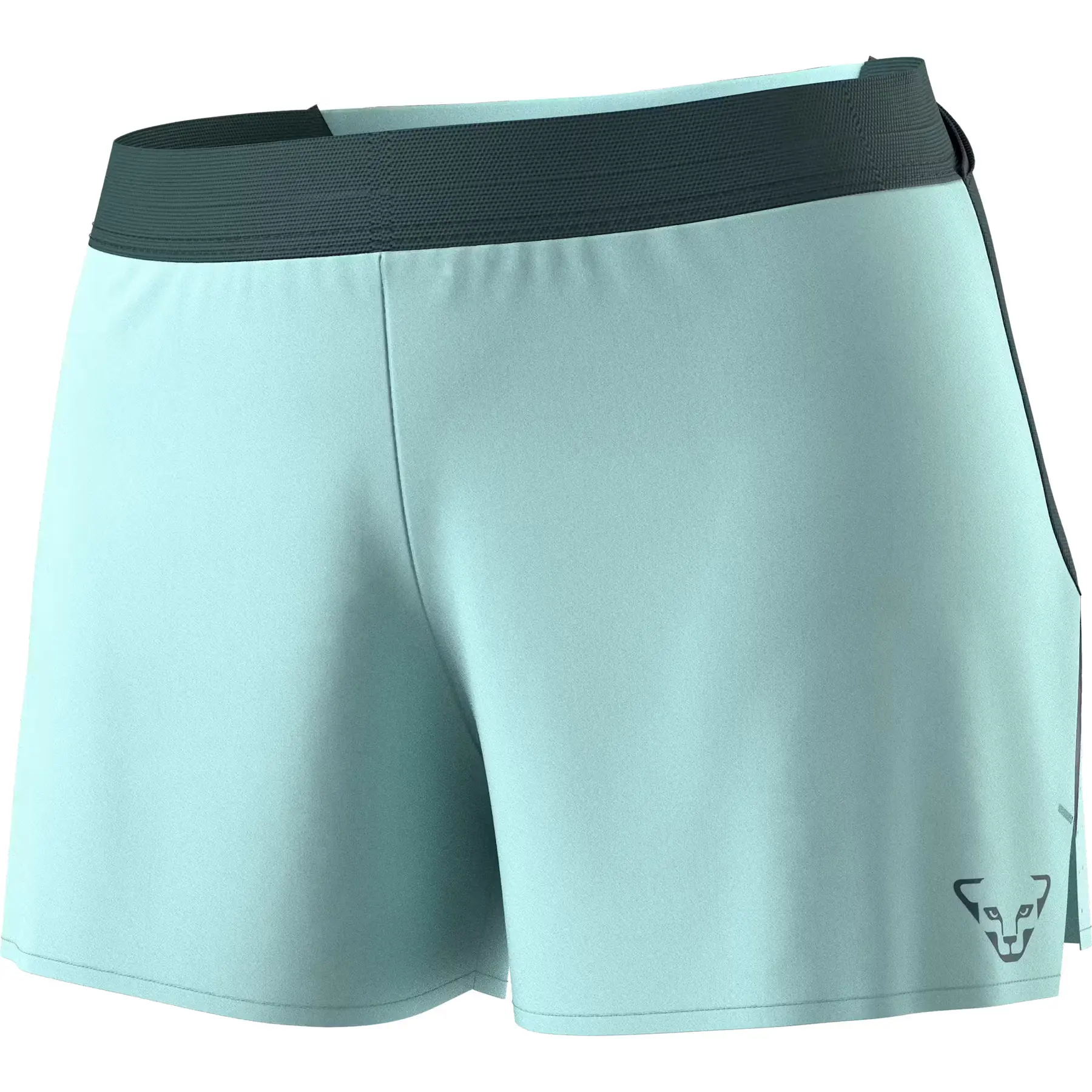 Women's shorts Dynafit Sky