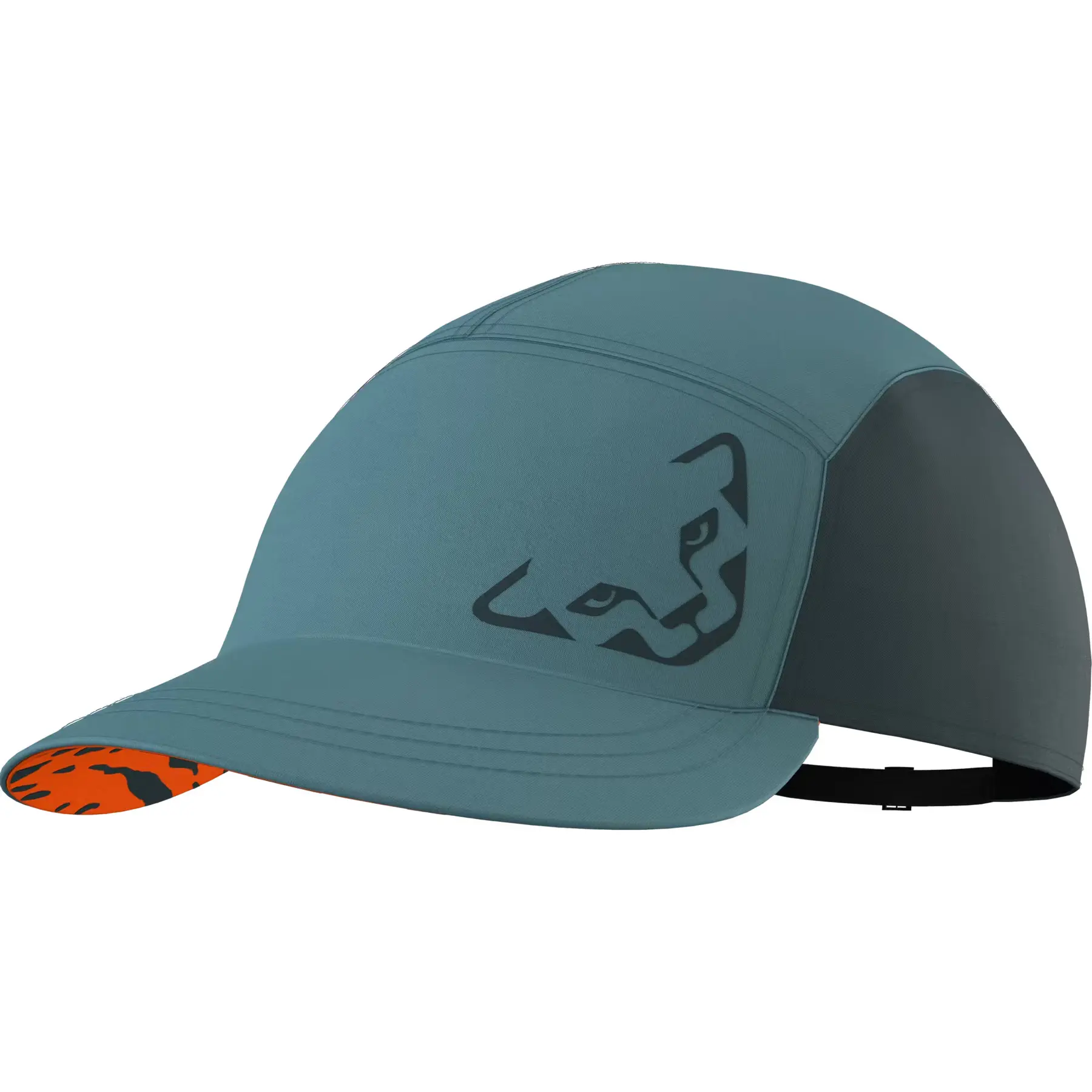 Dynafit Unisex Bleu 5 Panel Cap Alpine
