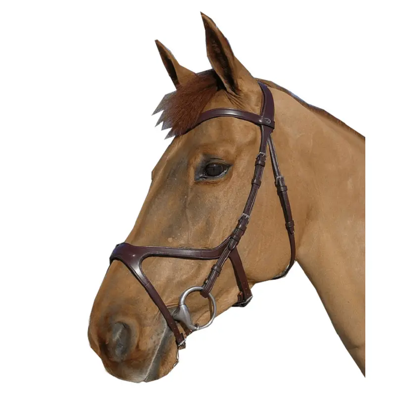 Comparer les prix de Bridons équitation Anatomique Xfit Dy'on