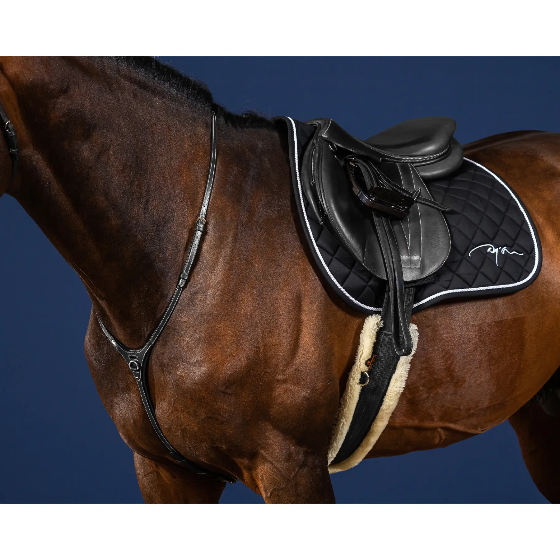 Meilleurs prix pour Collier de chasse pour cheval Dy’on Yoke