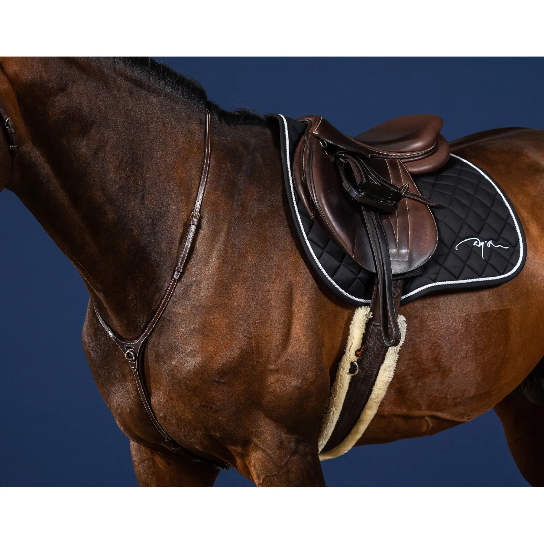 Collier de chasse pour cheval Dy’on Yoke