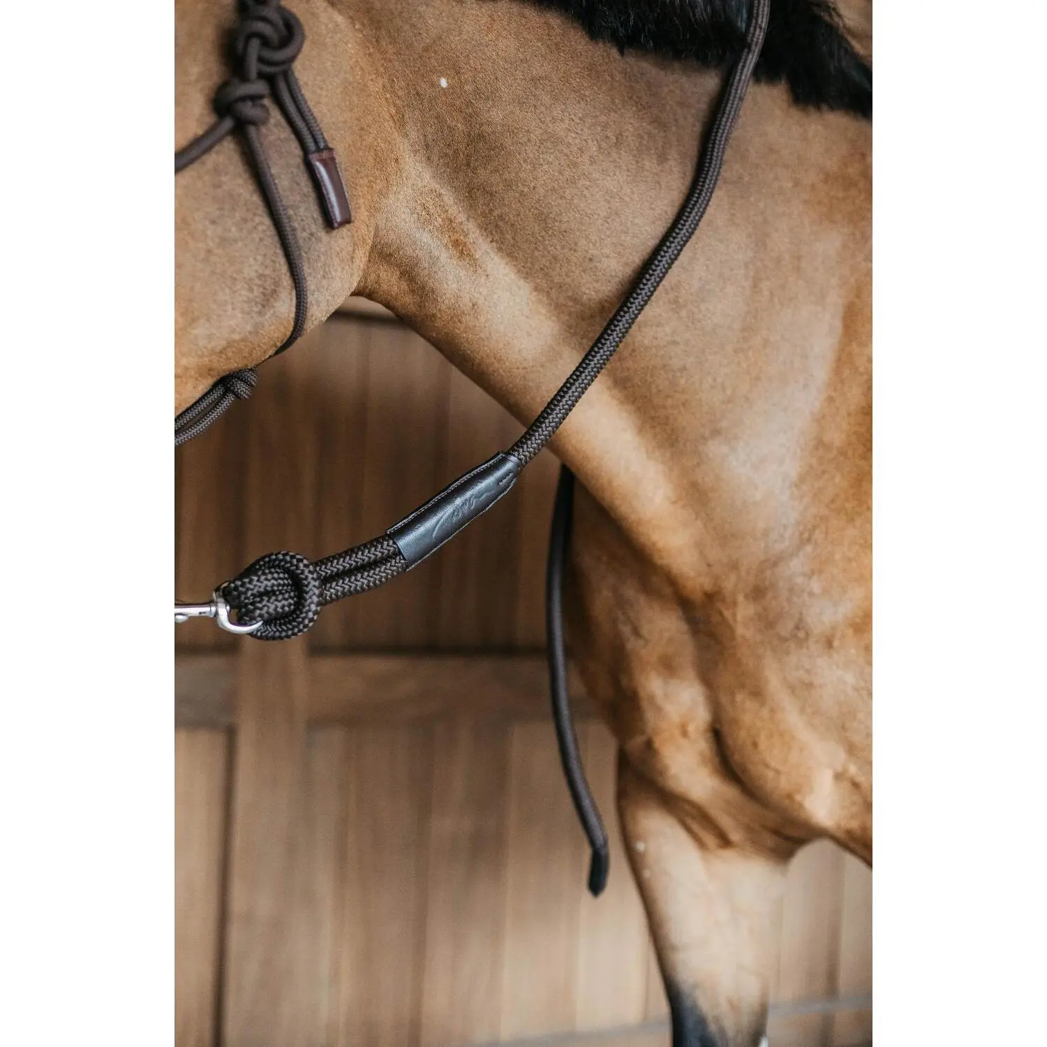 Meilleurs prix pour Laisse équitation avec mousqueton Dy'on