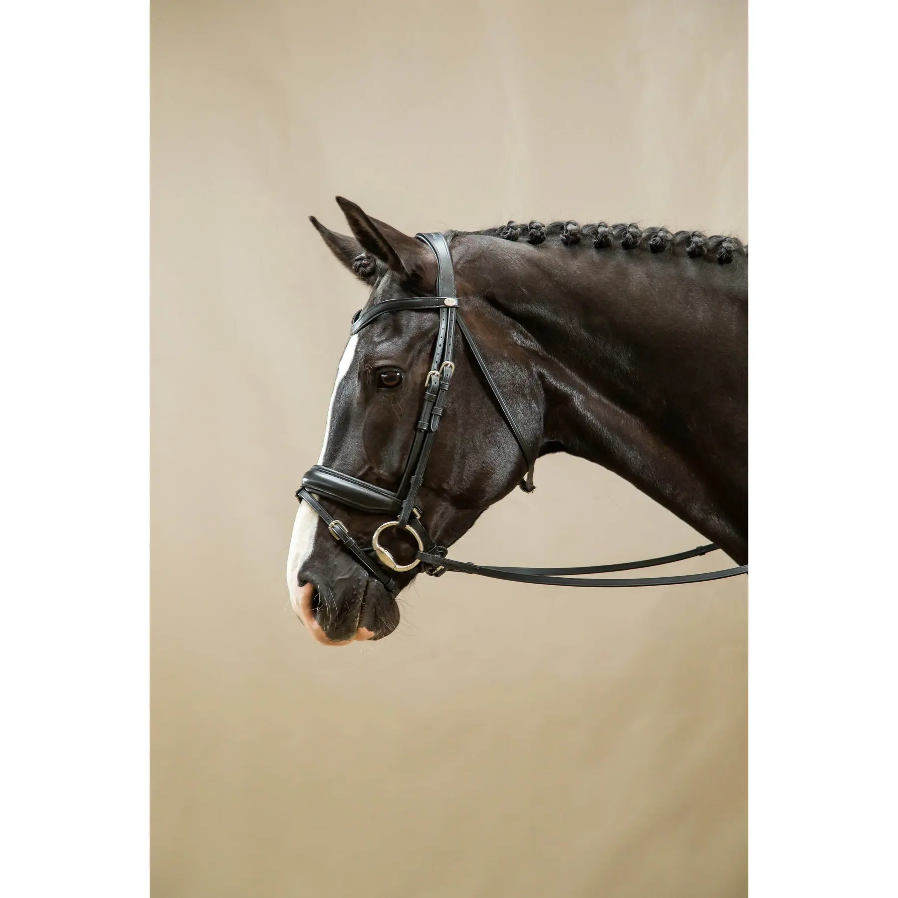 Meilleurs prix pour Bridon équitation anatomique muserolle combinée large Dy'on