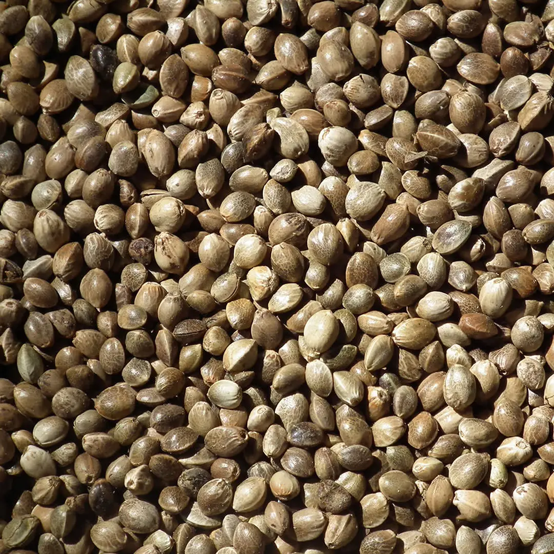 Meilleurs prix pour Porte de rechange pour litière Ebi Eclipse/Prism 70