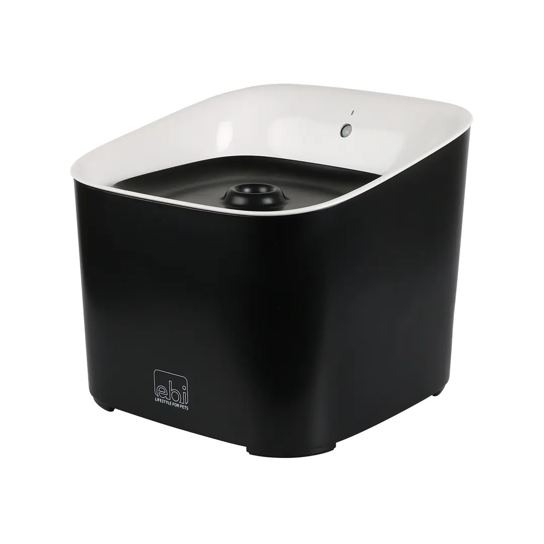 Ebi Noir Water Fountain Manoa