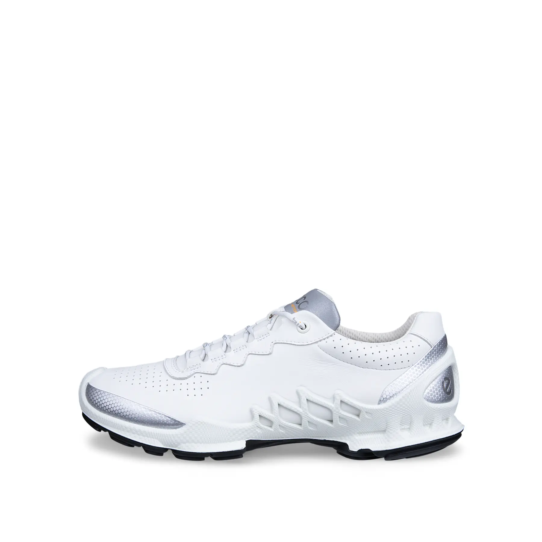 Baskets Ecco Biom AEX