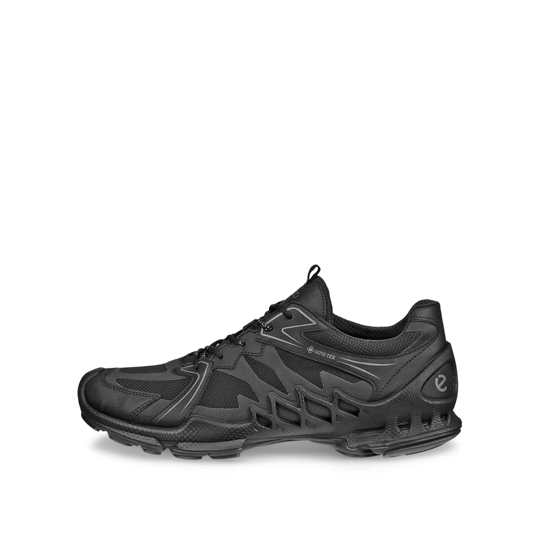Baskets Ecco Biom AEX