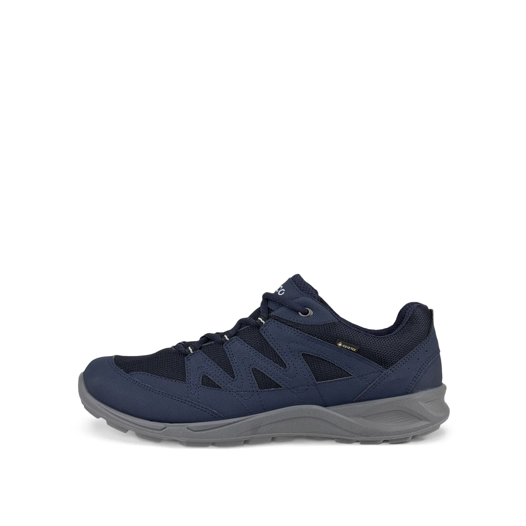 Baskets Ecco Terracruise GTX