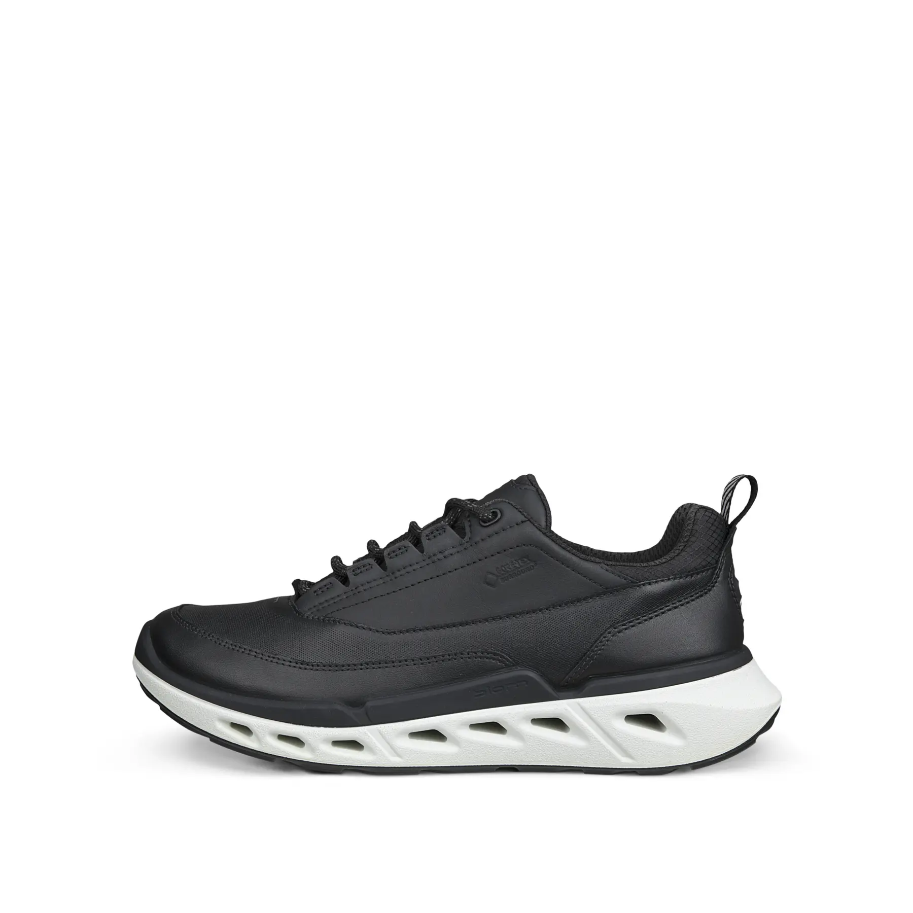 Damen Sneakers Ecco Biom 720 Lea GTXS