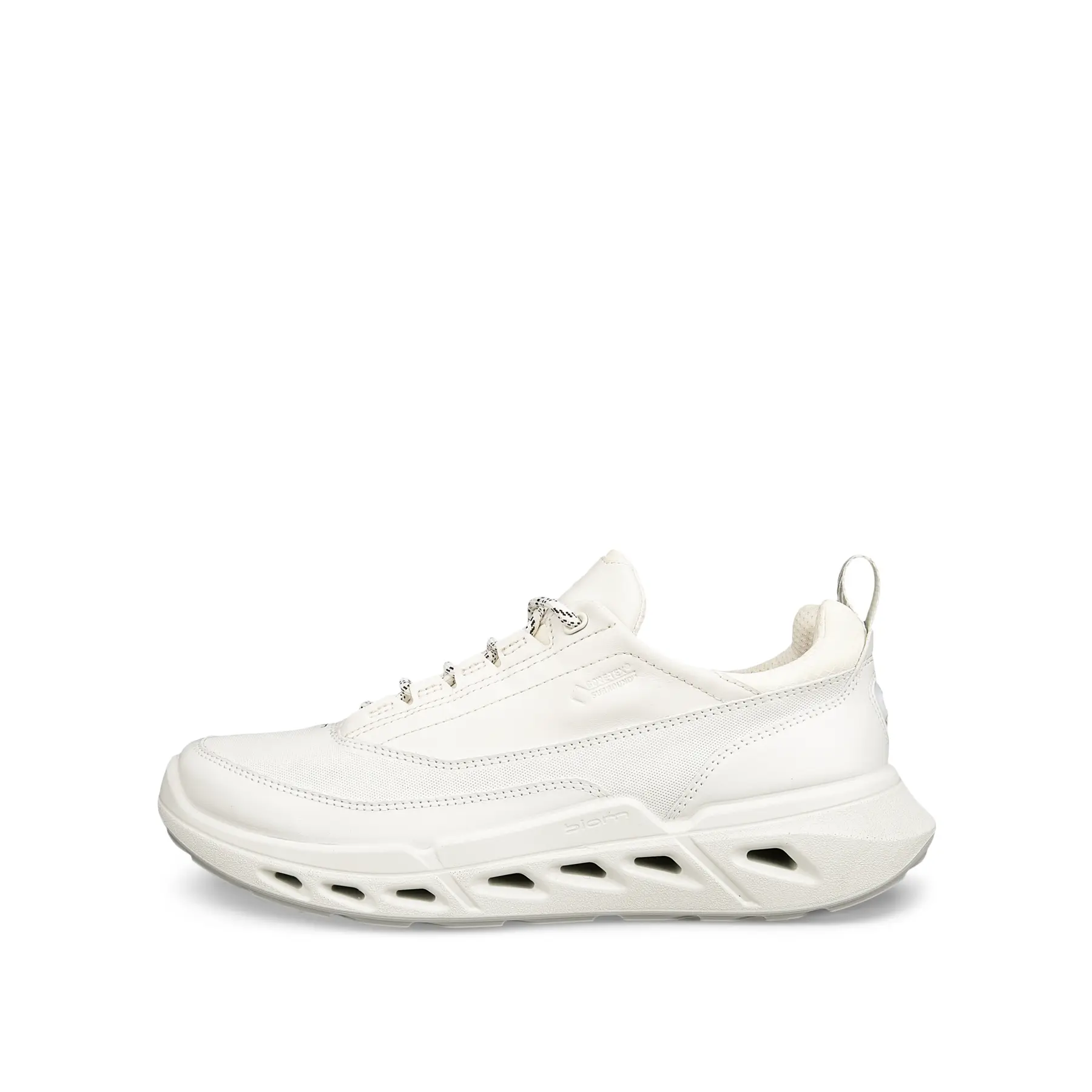 Damen Sneakers Ecco Biom 720 Lea Gtxs