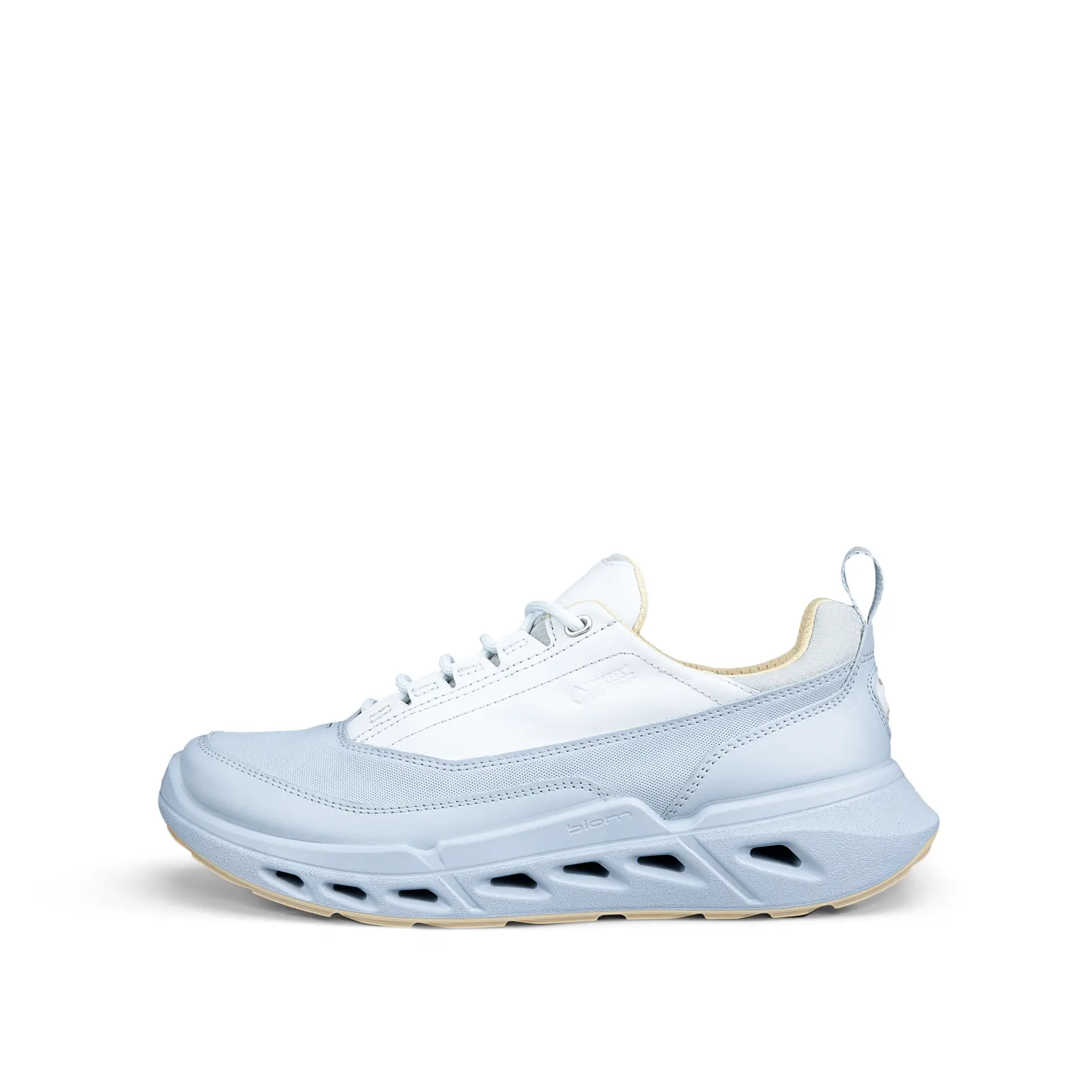 Sneakers da donna Ecco Biom 720 Lea GTXS