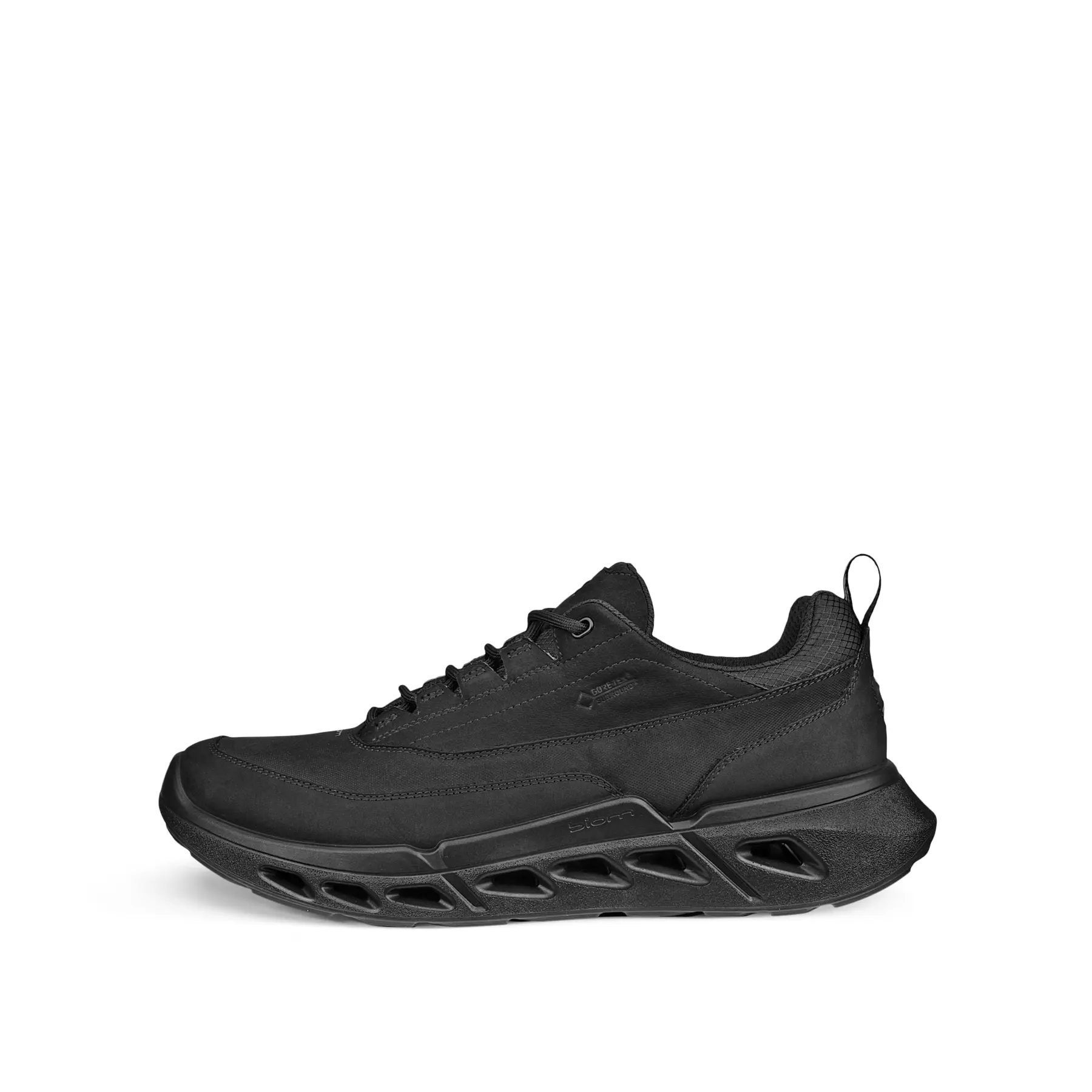 Baskets Ecco Biom 720 Low GTXS Lea