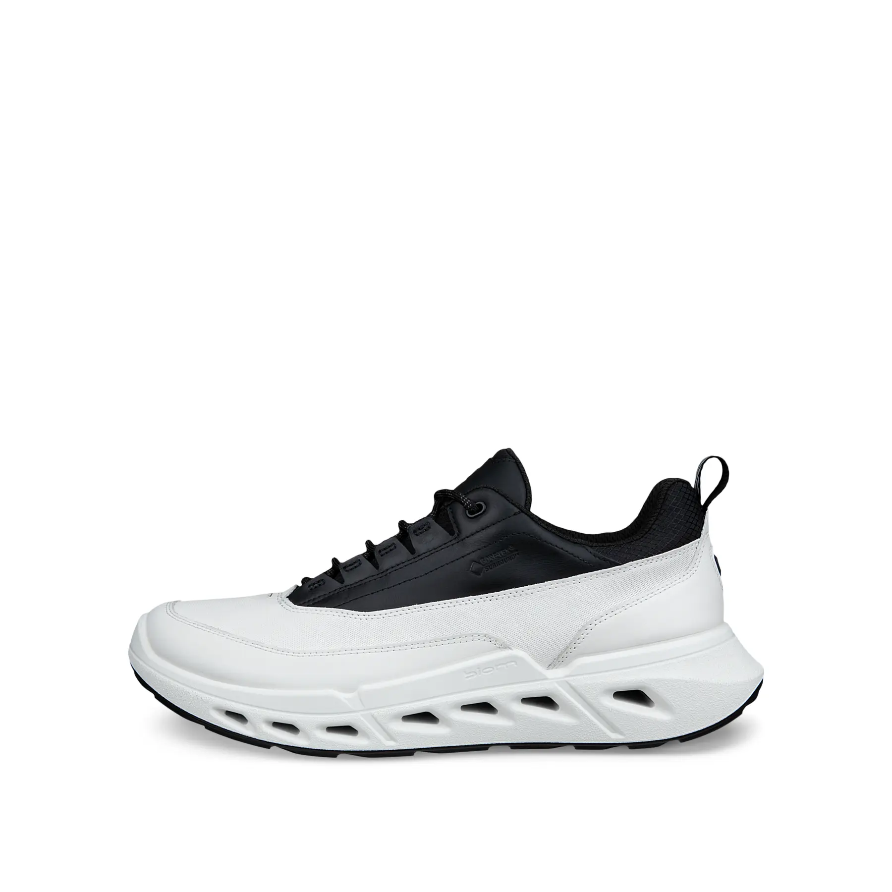Baskets Ecco Biom 720 Low GTXS Lea