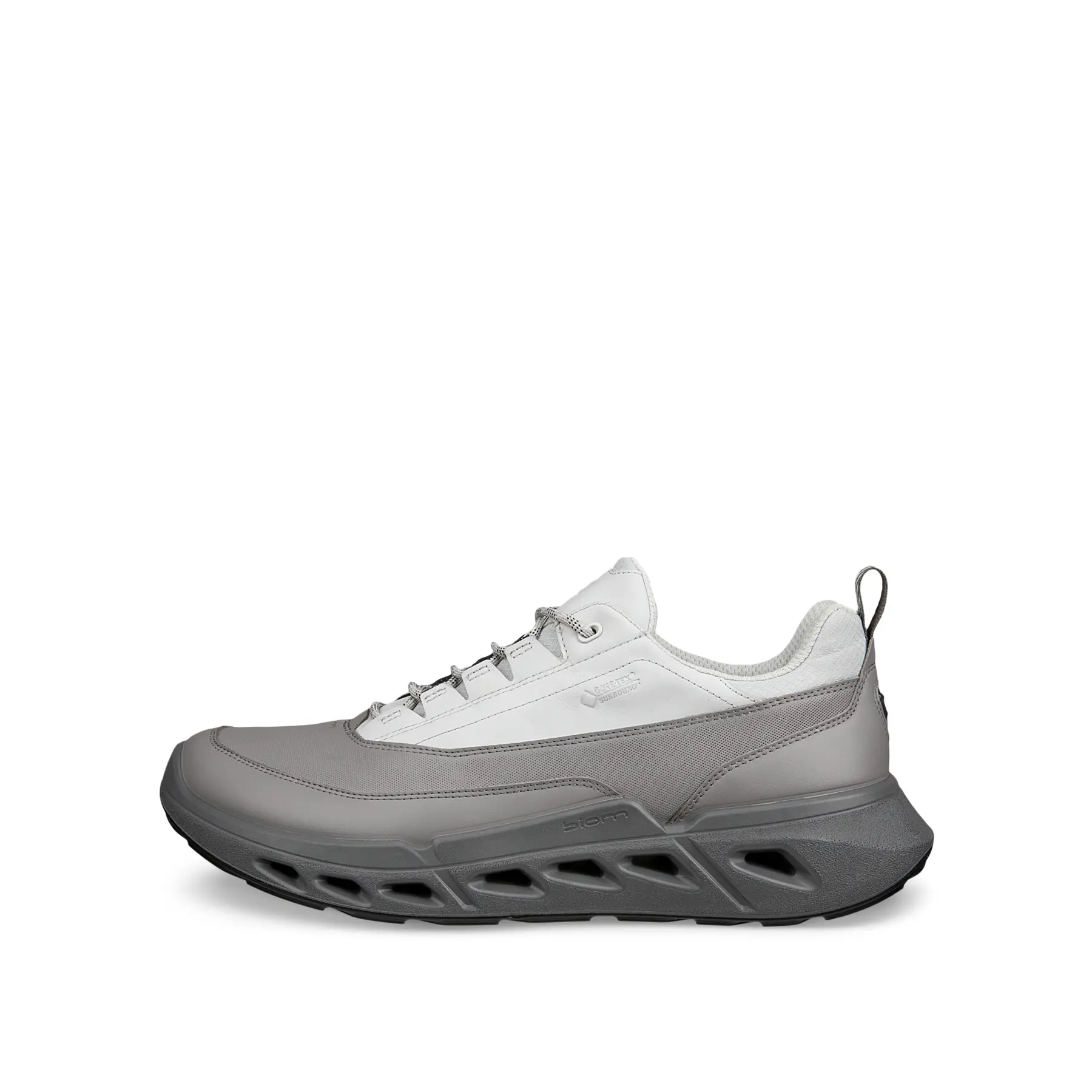 Baskets Ecco Biom 720 Low GTXS Lea
