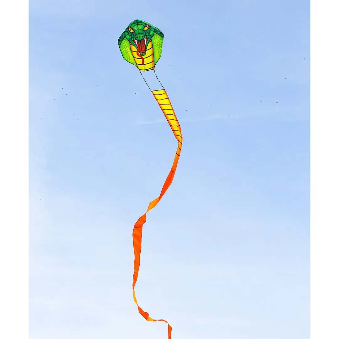 4031169298003 - 102199 - Emerald Cobra Kite - Kinderdrache ab 5 Jahren 1000x67cm  inkl 17kp Polyester Schnüre 25m