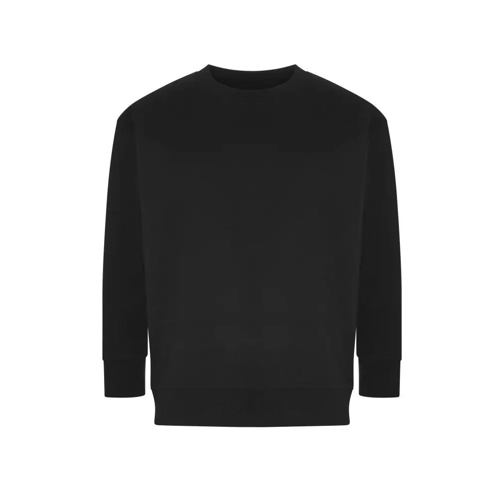 Image of Pullover Ecologie Crater