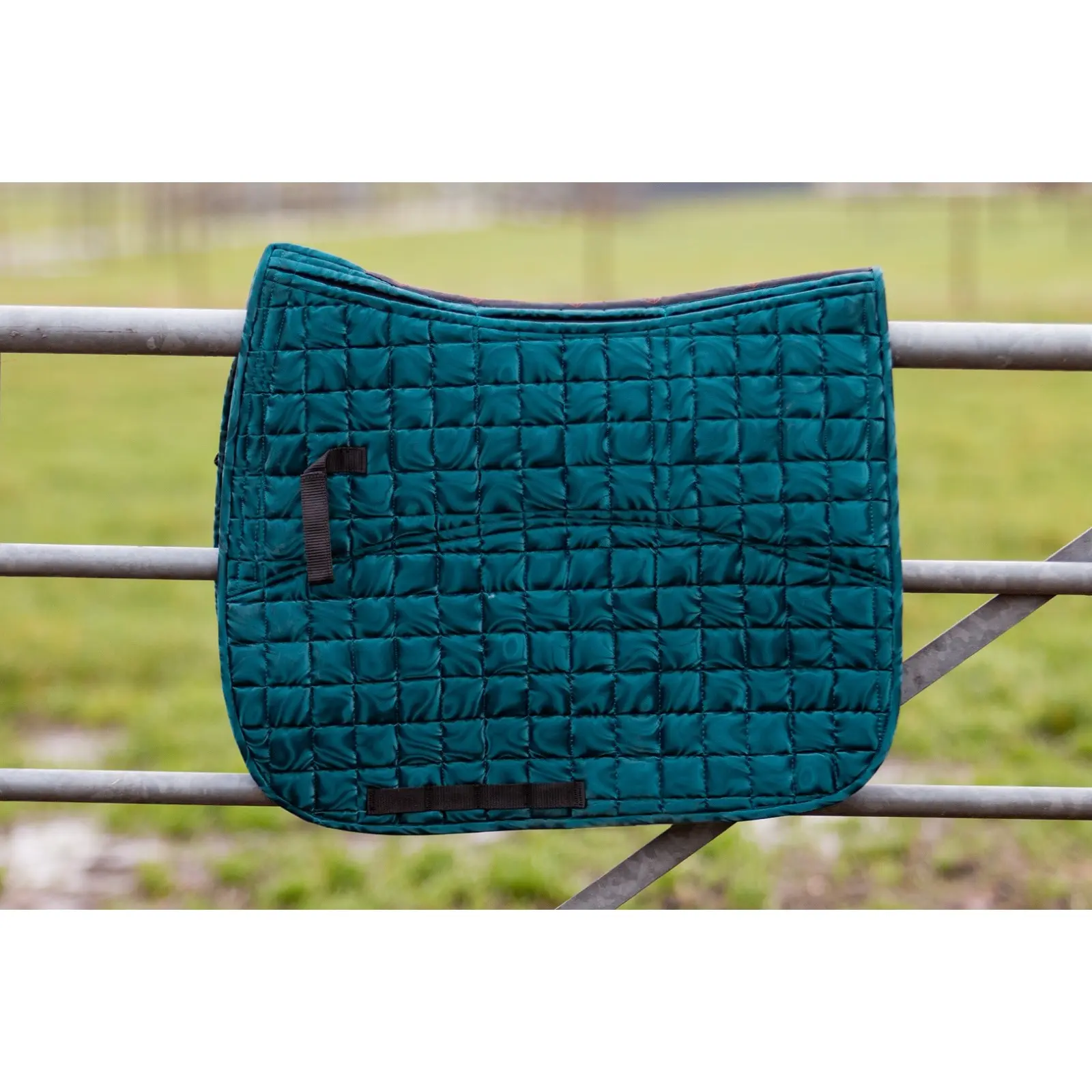 Comparer les prix de Tapis de selle pour cheval Edix Saddles DR Aqua