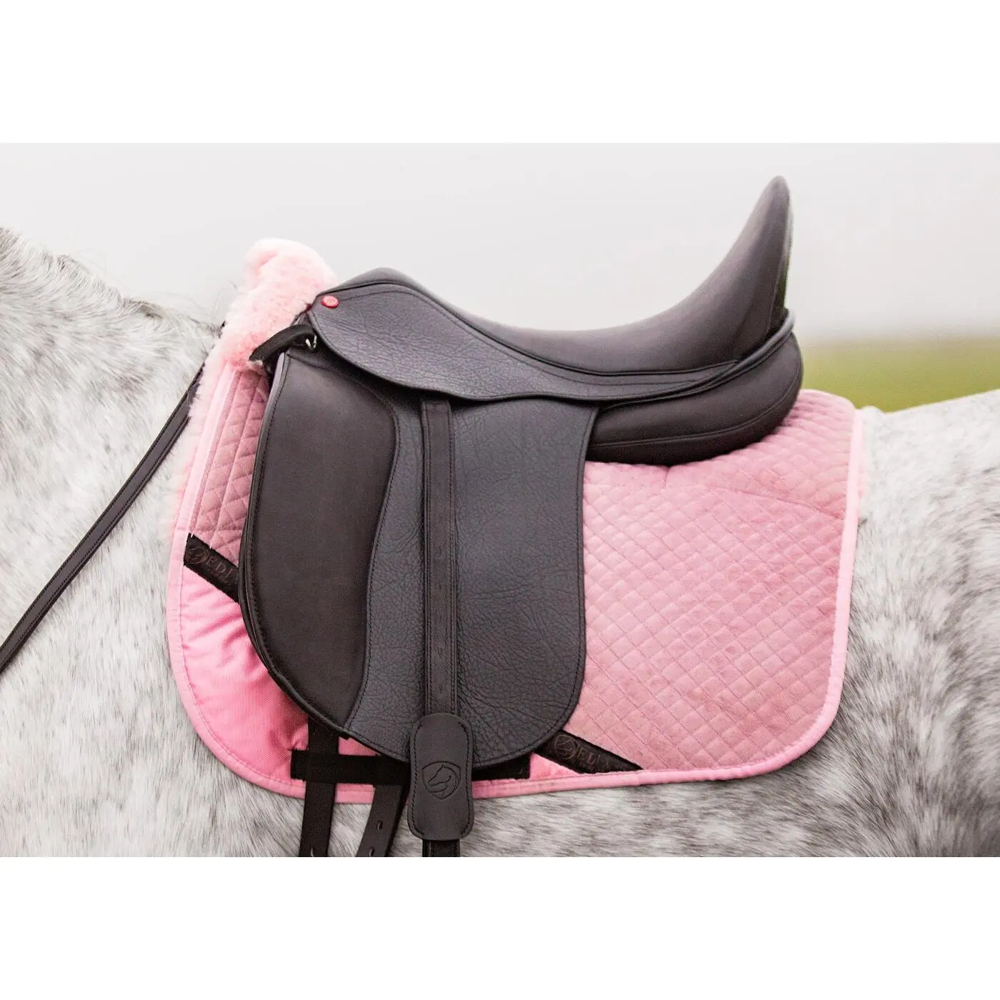 Comparer les prix de Selle de dressage pour cheval Edix Saddles Zyba S