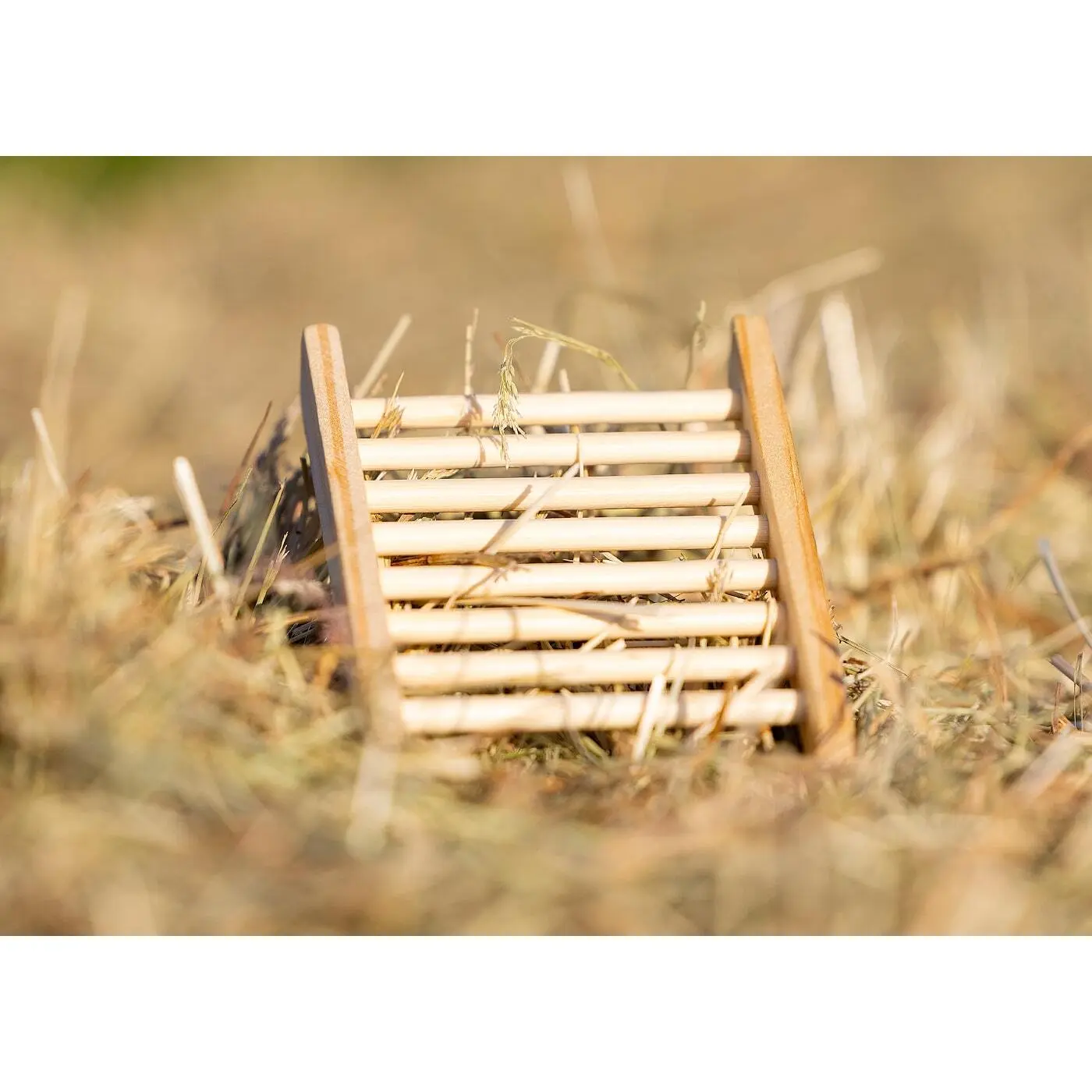 Comparer les prix de Porte-savon en bois Edix Saddles