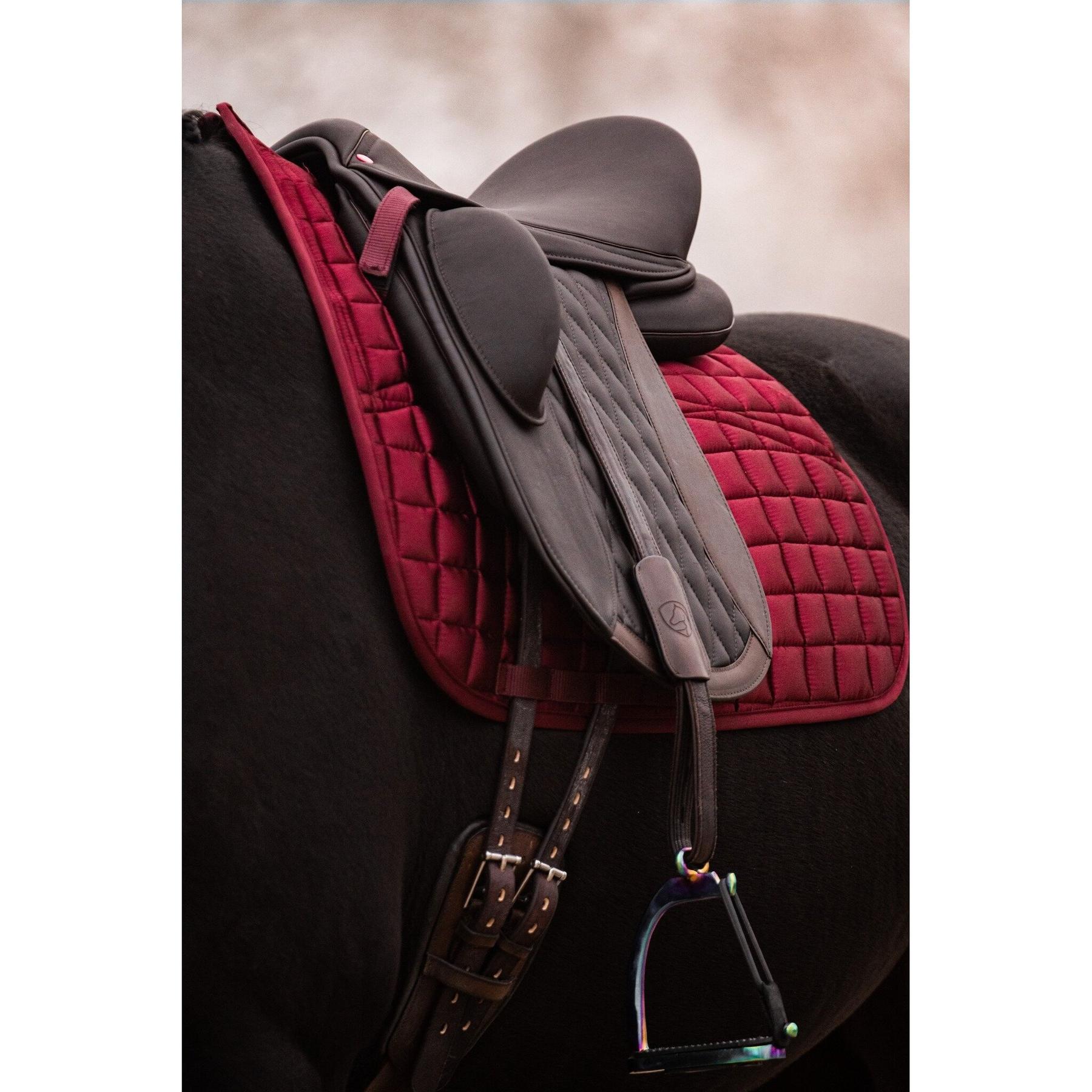 product/e/d/edix-saddles_1.0909.6590003_burgundy_1.jpg