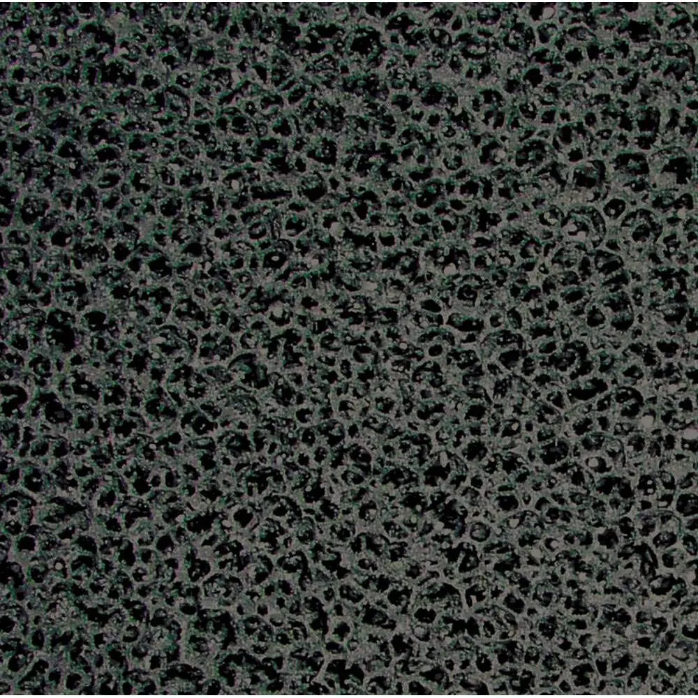 Cuscino in carbone Eheim Refinecoal P. Loop5000/7000 (x2)