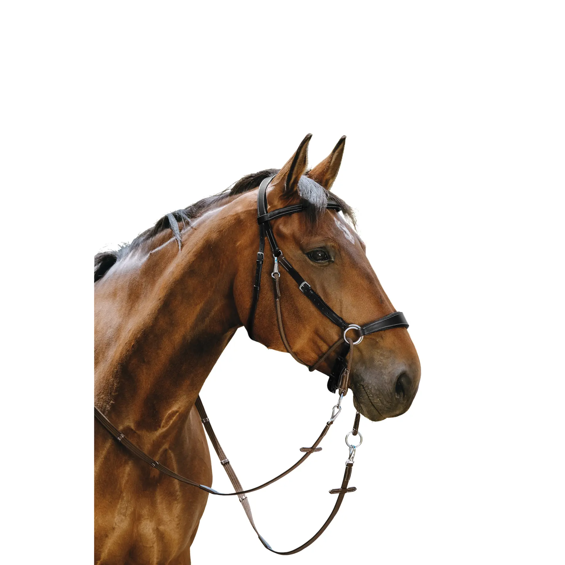 Norton Noir Riding Bridle Bitless