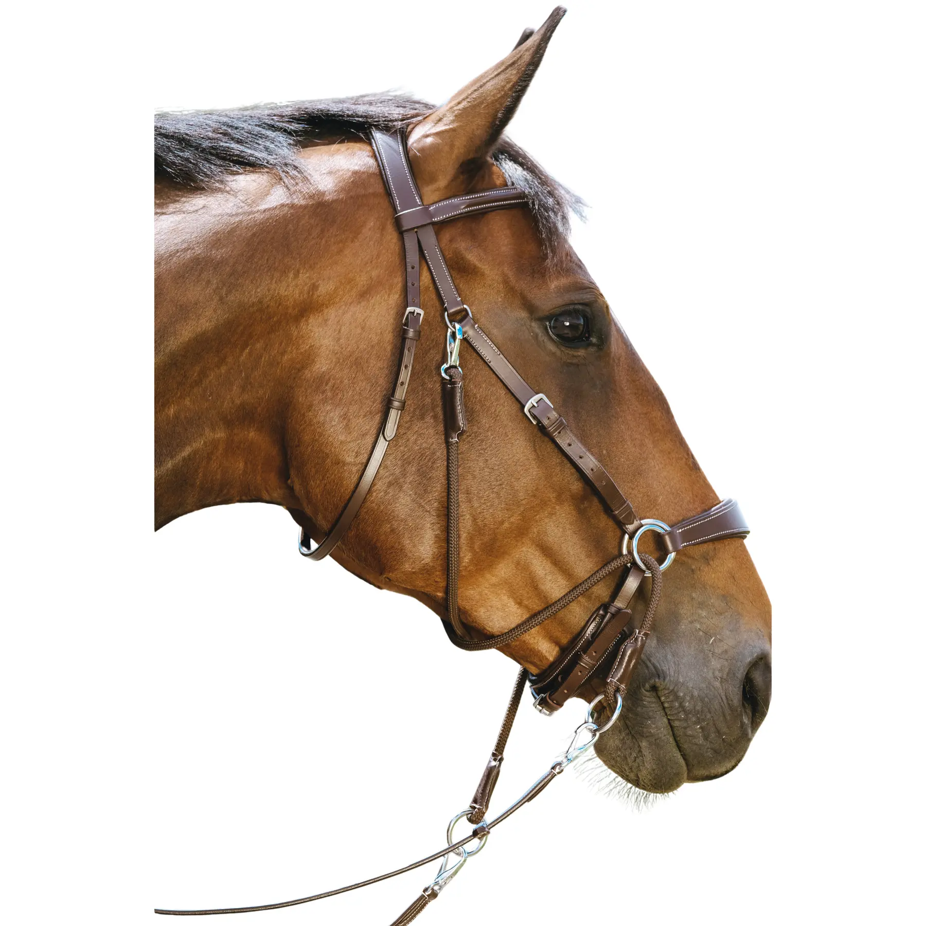 Norton Marron Riding Bridle Bitless
