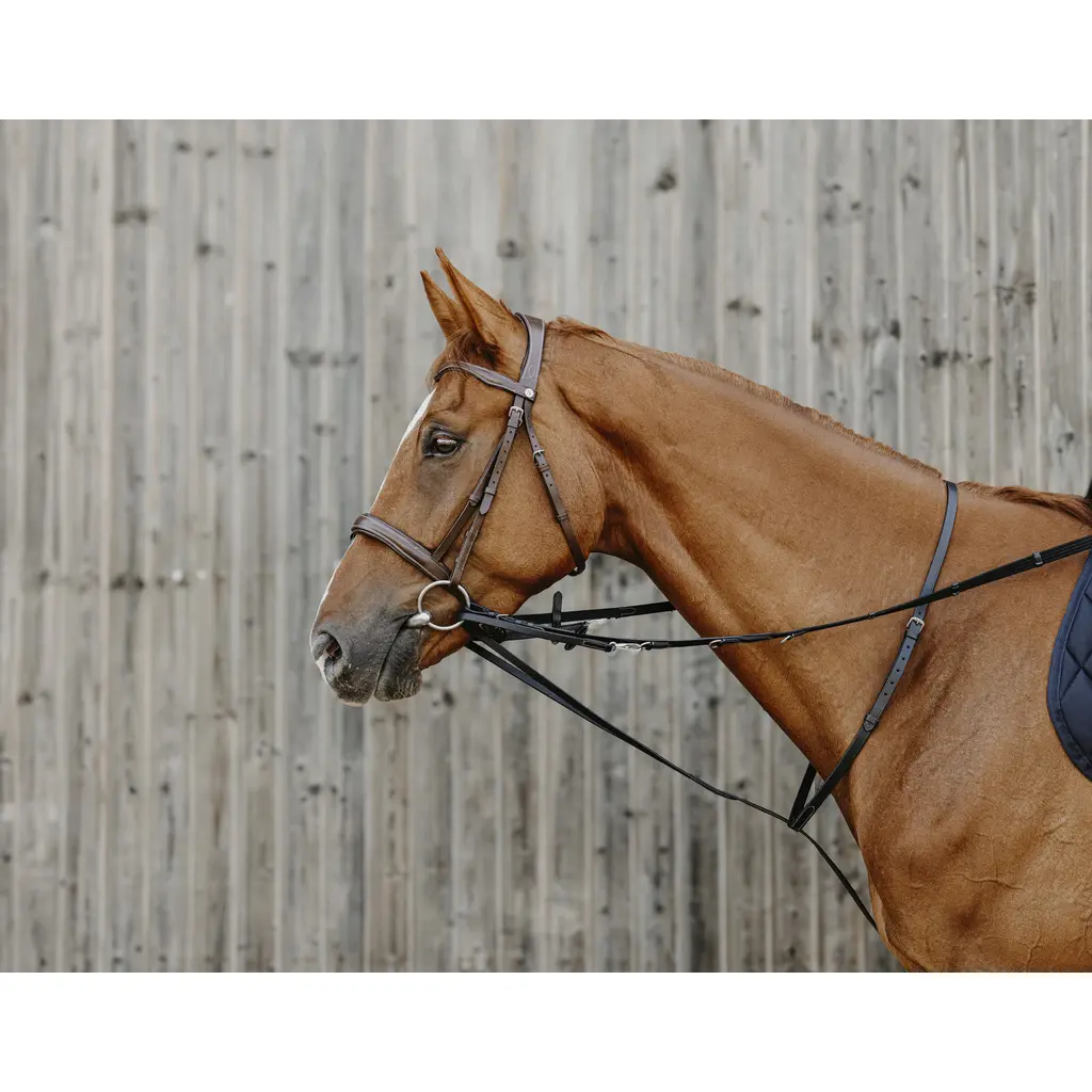 Meilleurs prix pour Enrênement élastique pour cheval Norton Pro Thiedeman