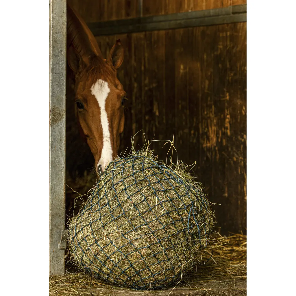 Hippotonic Vert Hay Net Zari
