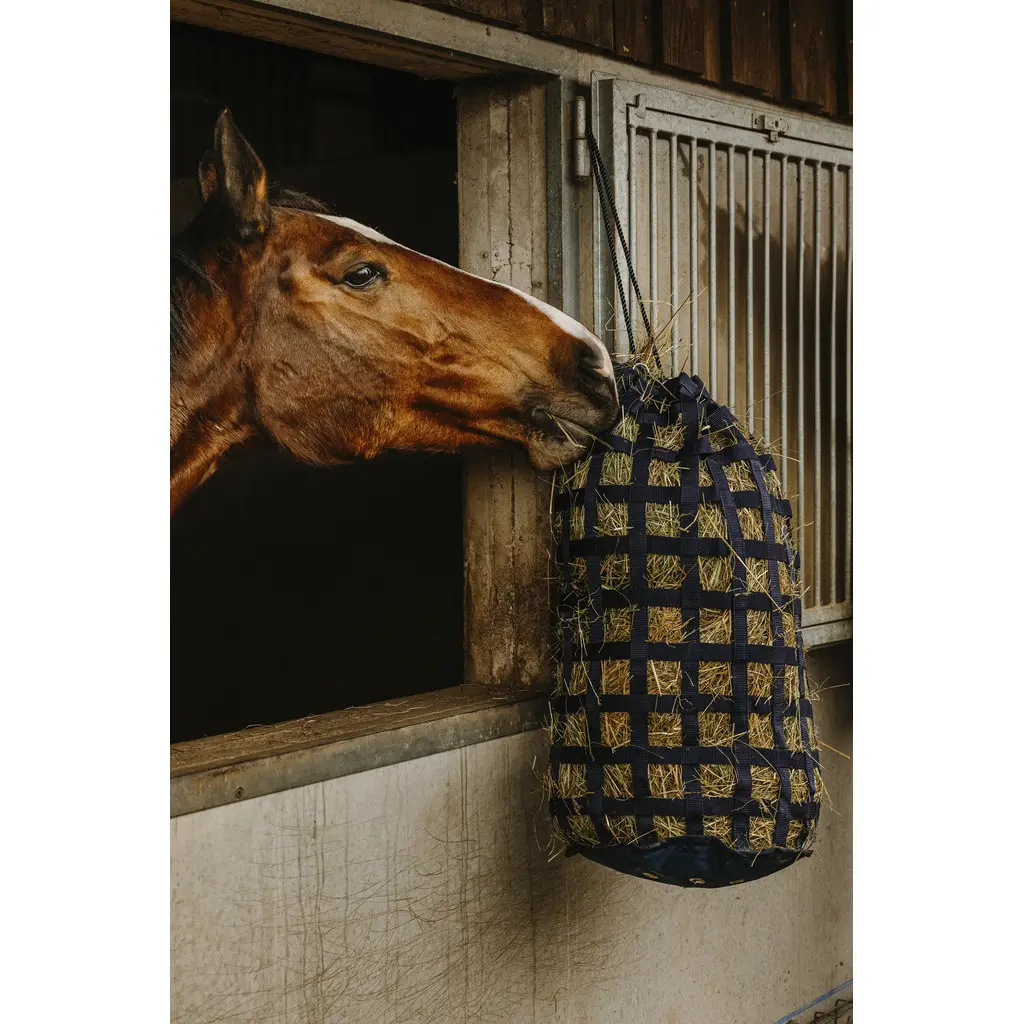 Meilleurs prix pour Sac à foin sangle pour cheval Hippotonic