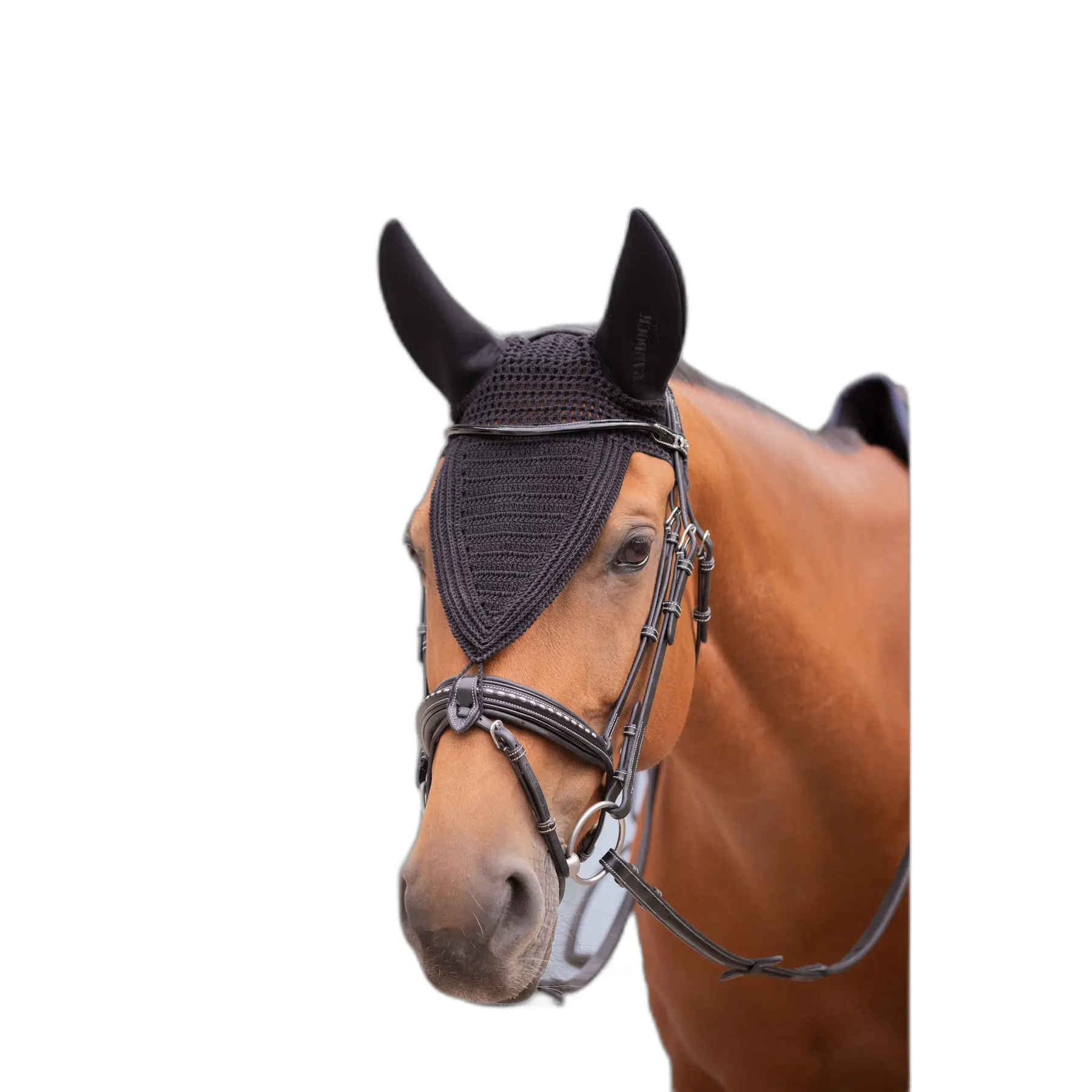 Comparer les prix de Bonnet pour cheval long Paddock Sports Soundless