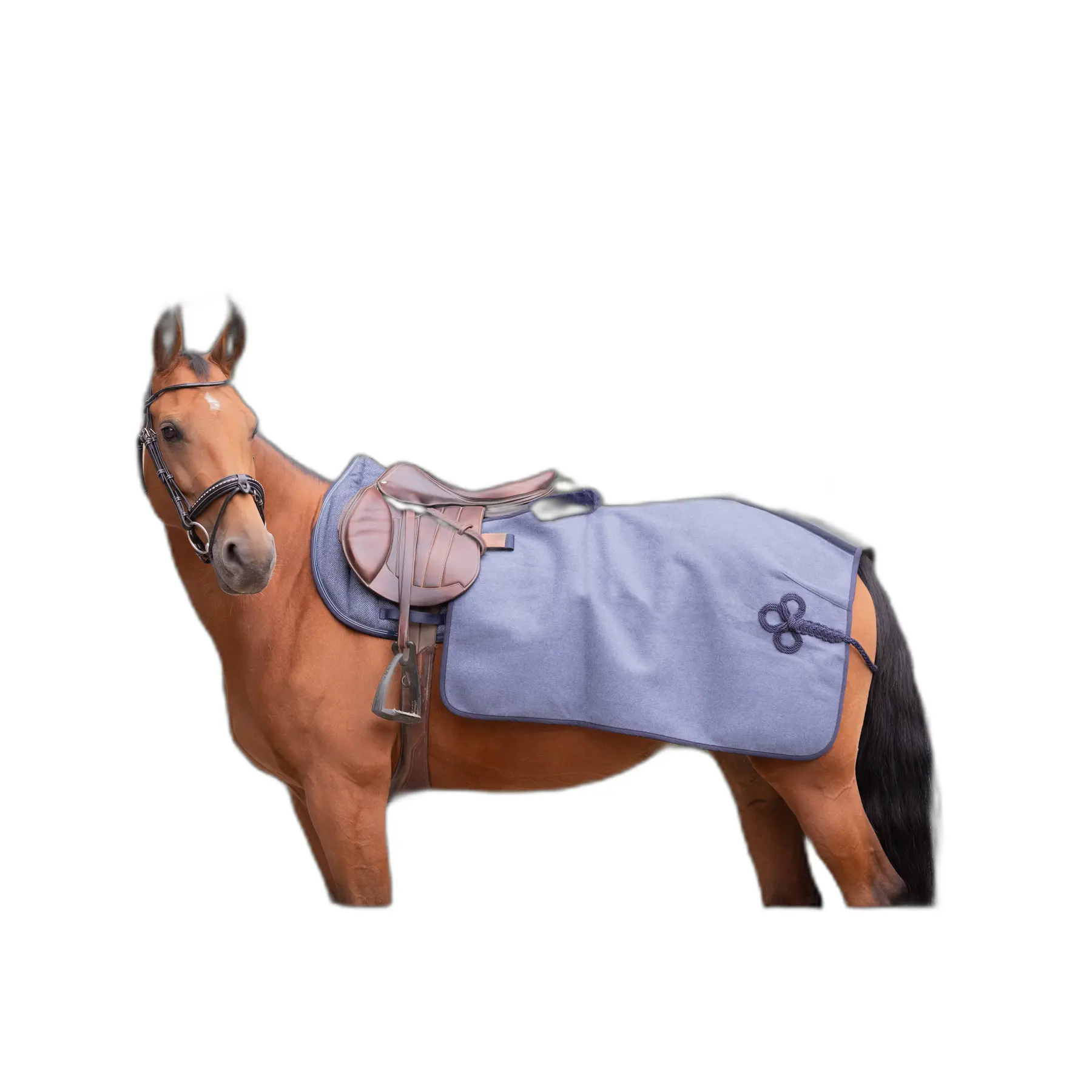 Comparer les prix de Couvre-reins pour cheval Paddock Sports Quarter Wooltouch