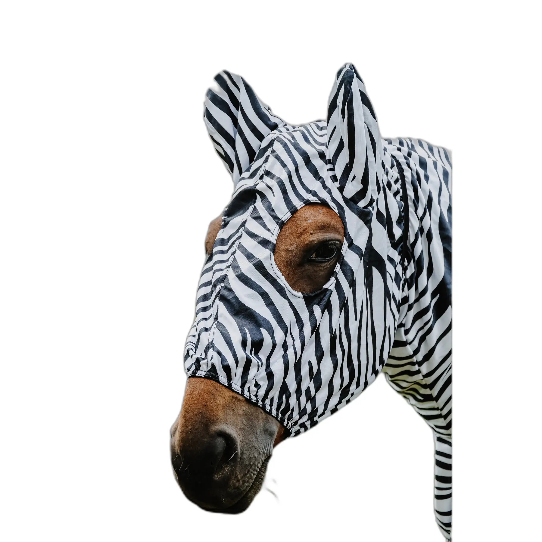 Masque anti-mouches pour cheval Riding World