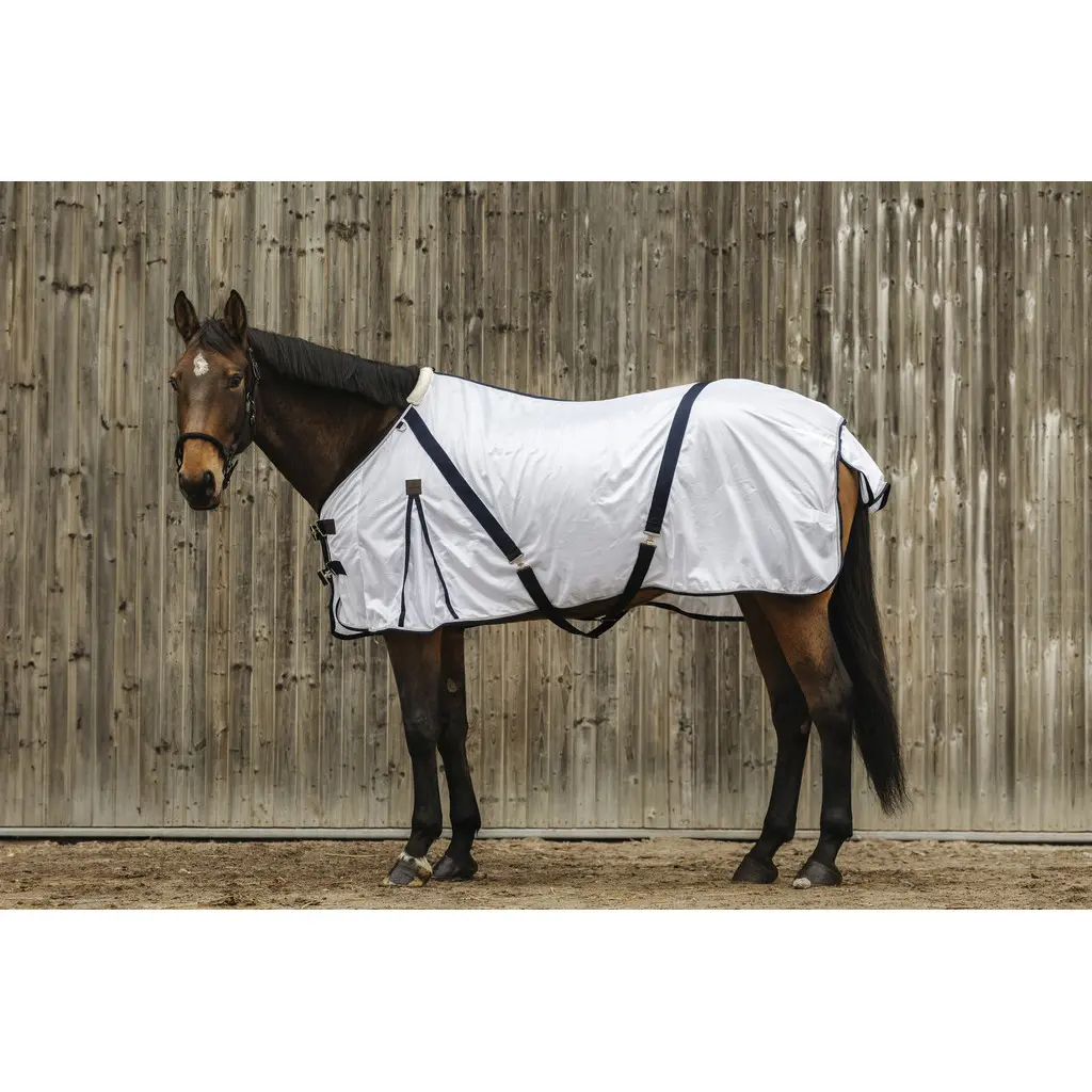 Meilleurs prix pour Chemise pour cheval Equithème