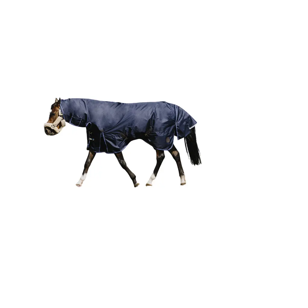 Meilleurs prix pour Couverture d'extérieur pour cheval Equithème Classic 1200D Combo 100g