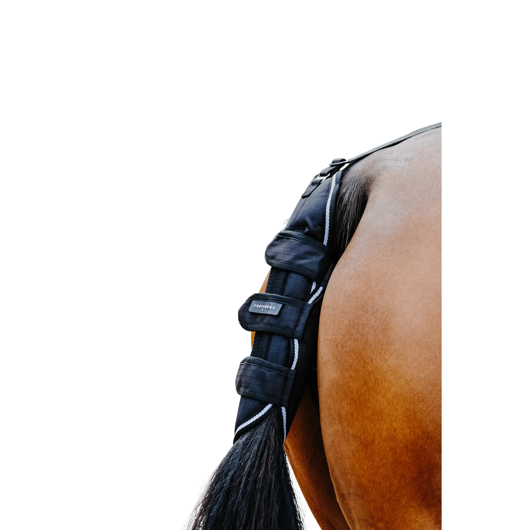 Meilleurs prix pour Protège-queue pour cheval Equithème Tyrex 600D