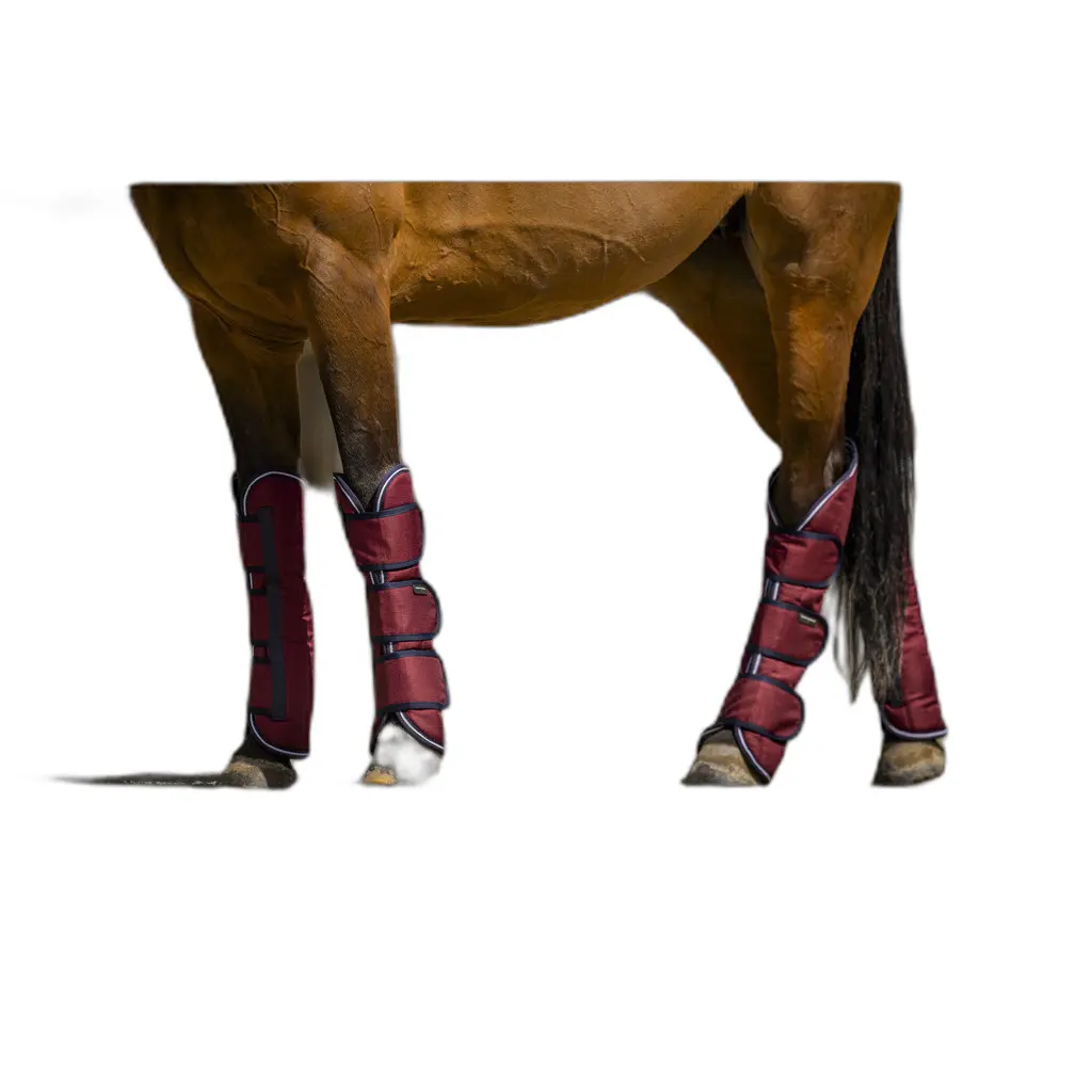 Meilleurs prix pour Guêtres de transport pour cheval Equithème Tyrex 1200D