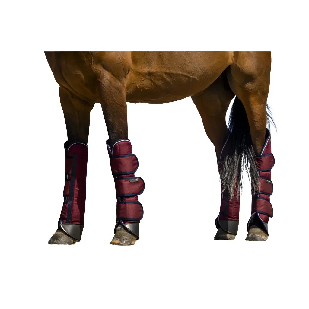Comparer les prix de Guêtres de transport pour cheval renforcées Equithème Tyrex 1200D