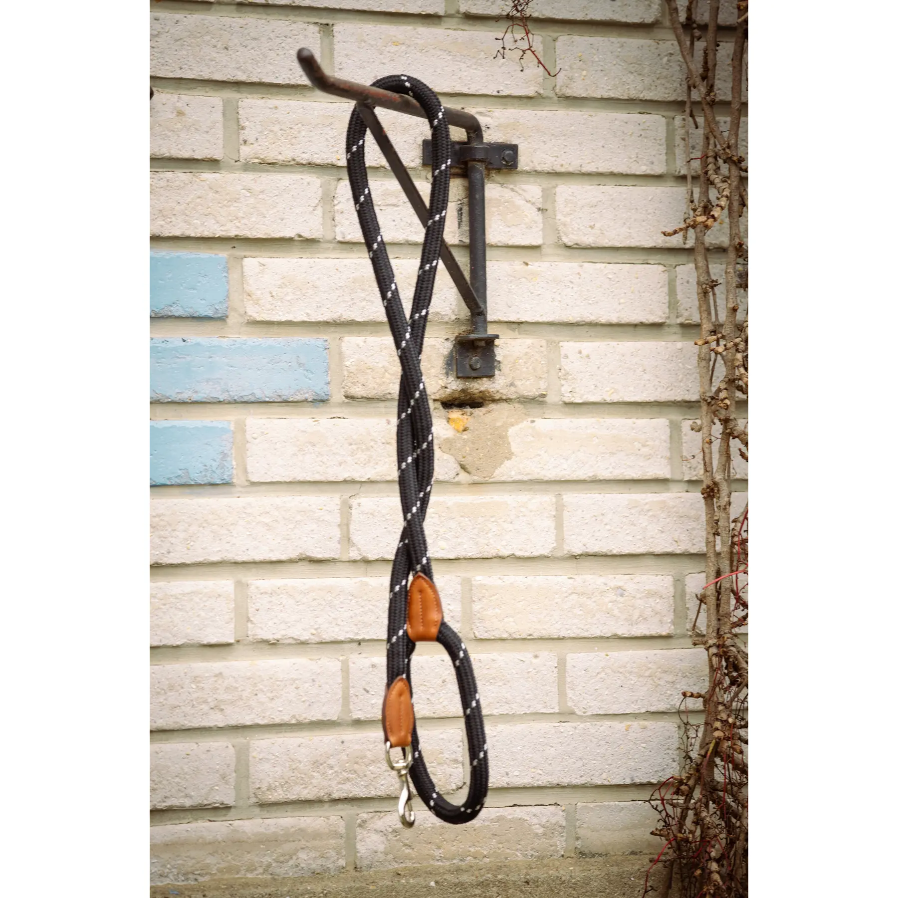 Meilleurs prix pour Laisse pour chien Pénélope Billie