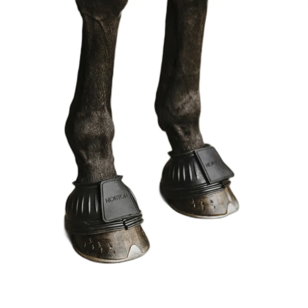 Cloches pour cheval Norton NoTurn 6 mm
