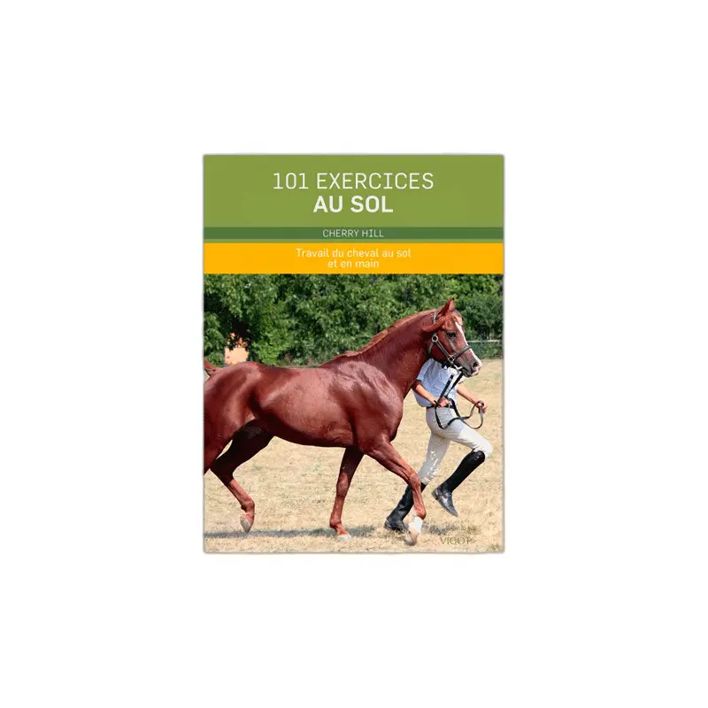 Meilleurs prix pour Livre 101 exercices au sol Ekkia