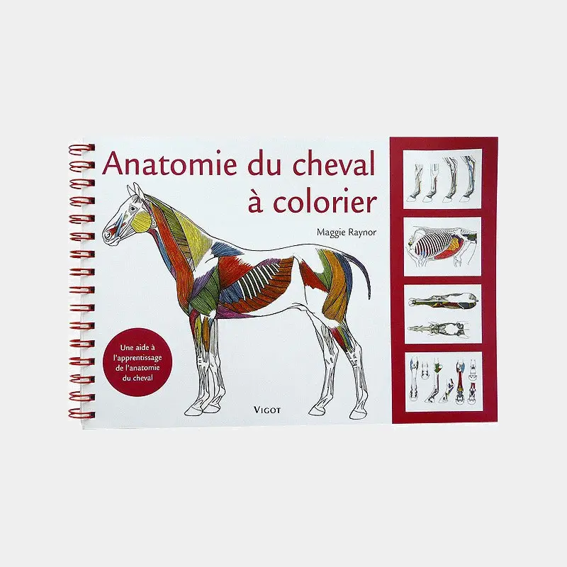 Meilleurs prix pour Livre anatomie du cheval à colorier Ekkia