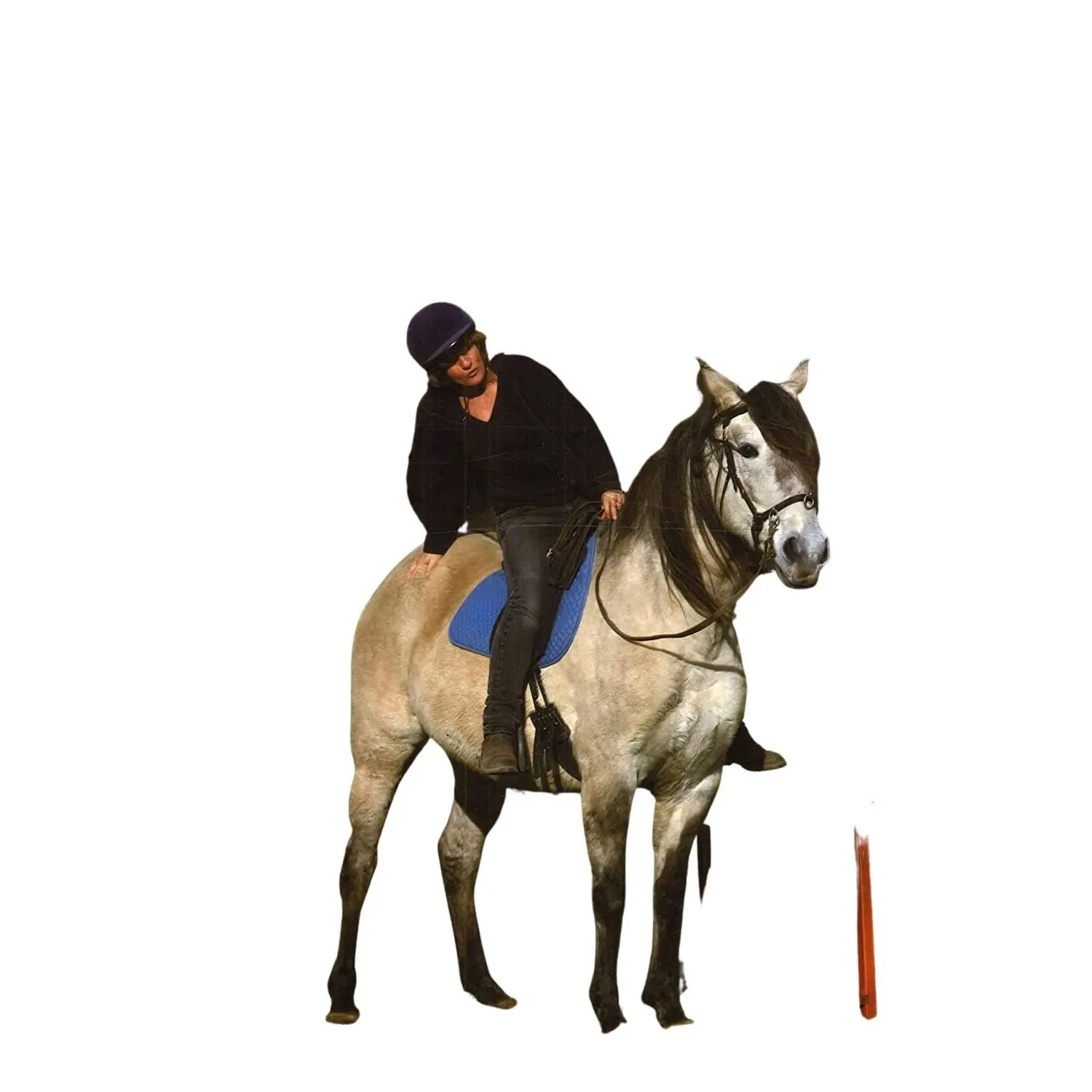 Comparer les prix de Livre pour éduquer le poulain du sol à la selle Ekkia