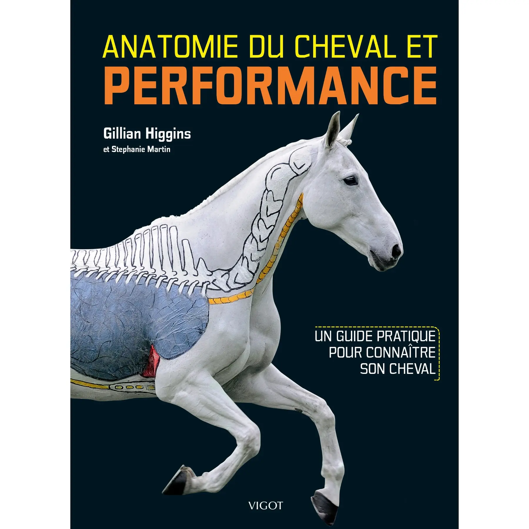 Meilleurs prix pour Livre anatomie du cheval & performance Ekkia