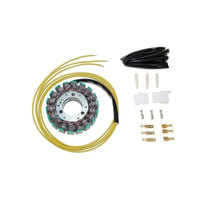 Anpassbare Lichtmaschine Electrosport Kawasaki
