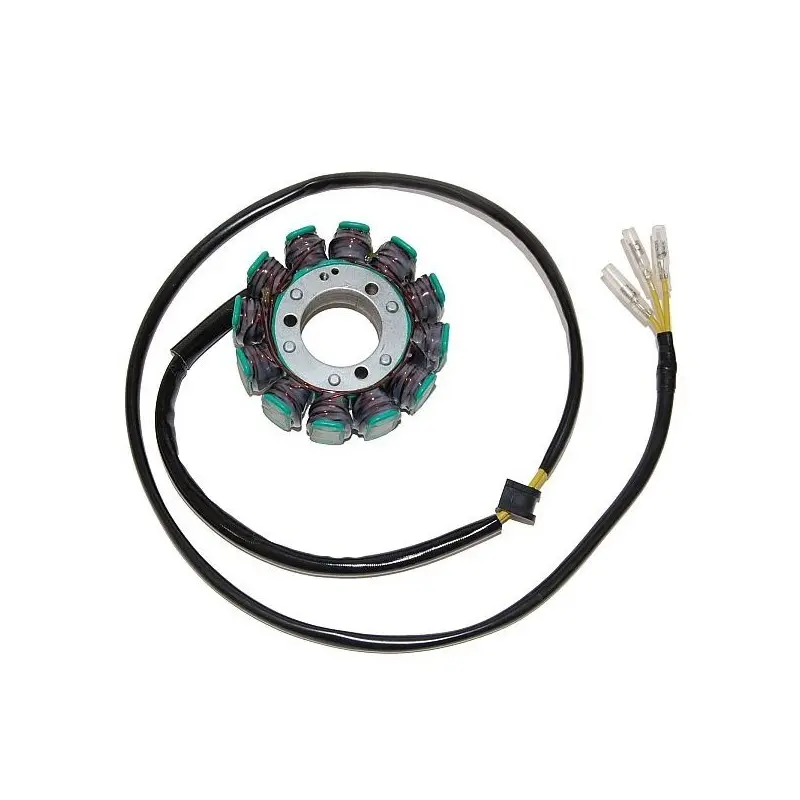 Lichtmaschine Motorrad anpassbar Original Electrosport Suzuki